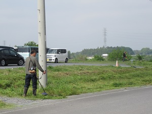 IMG_4949