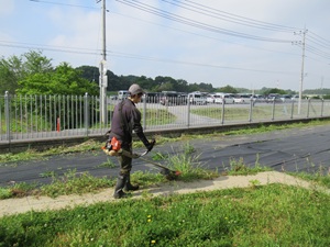 IMG_4954 IMG_4954
