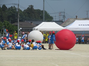 IMG_4980