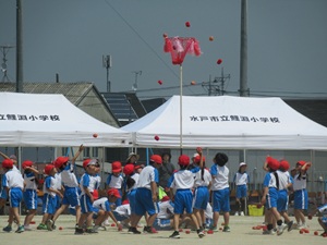 IMG_4984 IMG_4984