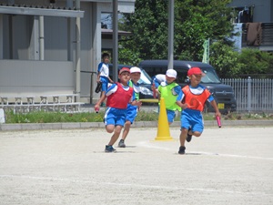 IMG_4992 IMG_4992