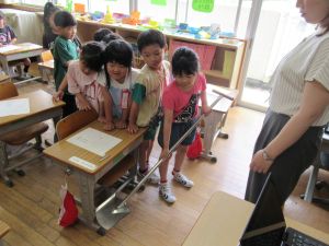 IMG_5175 IMG_5175