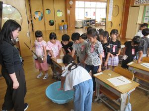 IMG_5176 IMG_5176