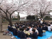  桜の木の下でお花見給食