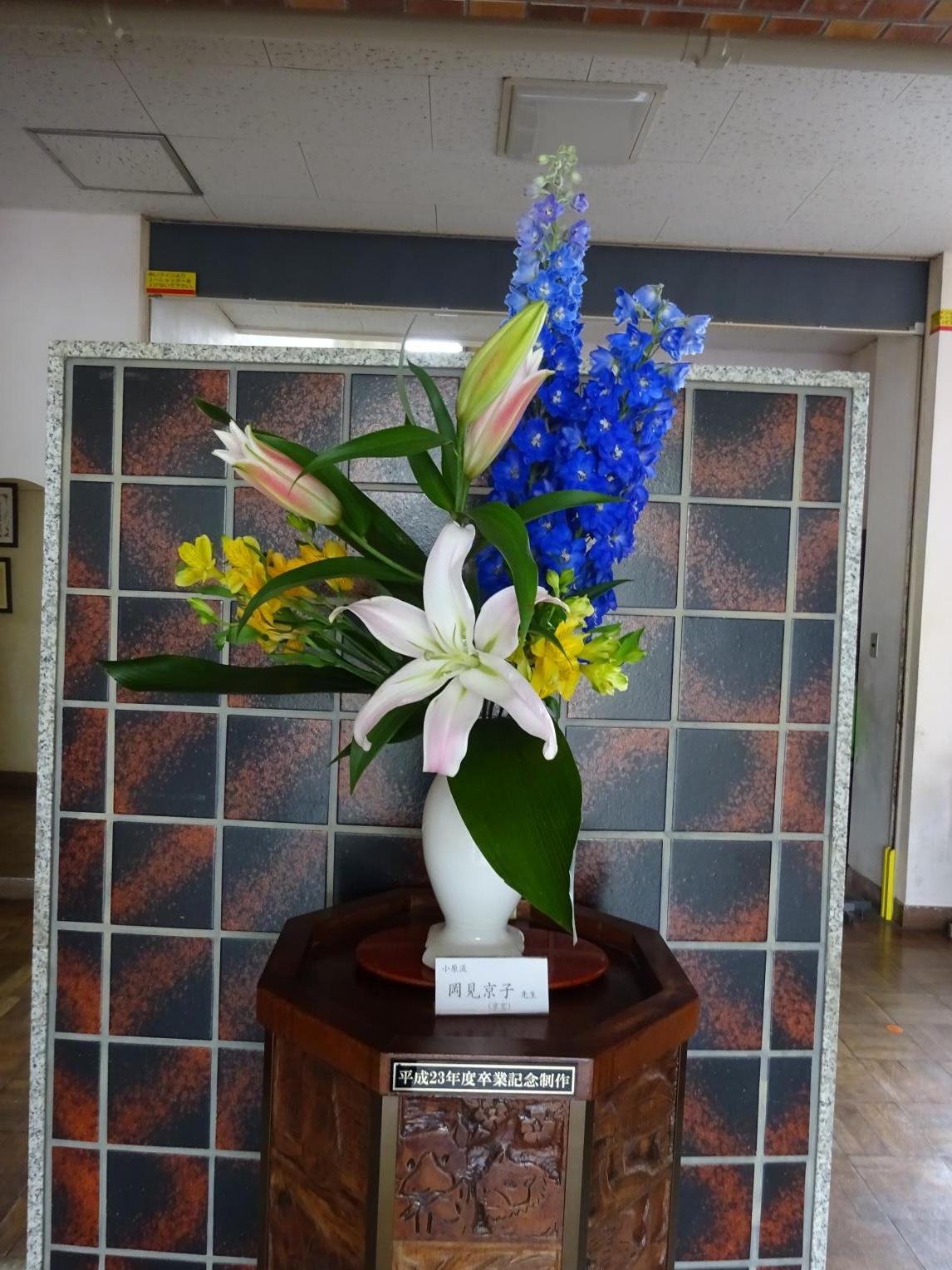 DSC00704 DSC00704