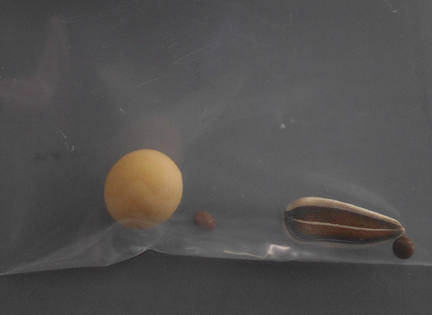 DSCN3896 (2) DSCN3896 (2)