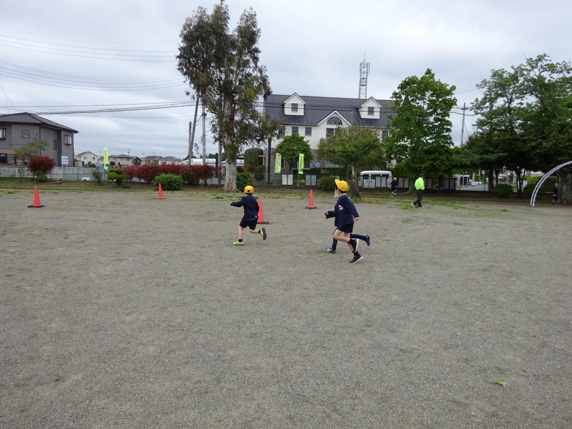 DSC00766 DSC00766