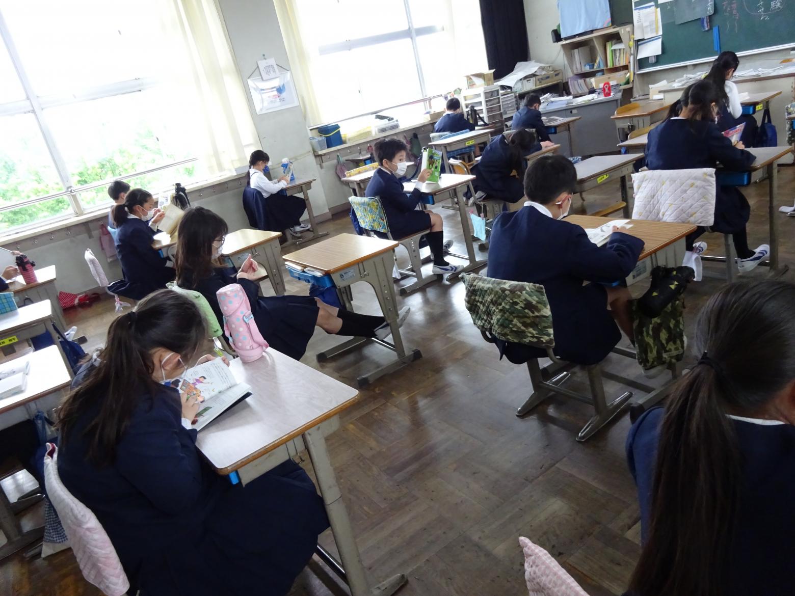 DSC00774 DSC00774