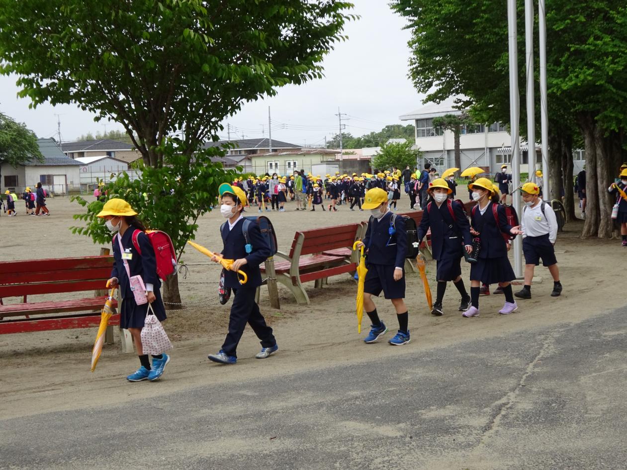 DSC00780 DSC00780