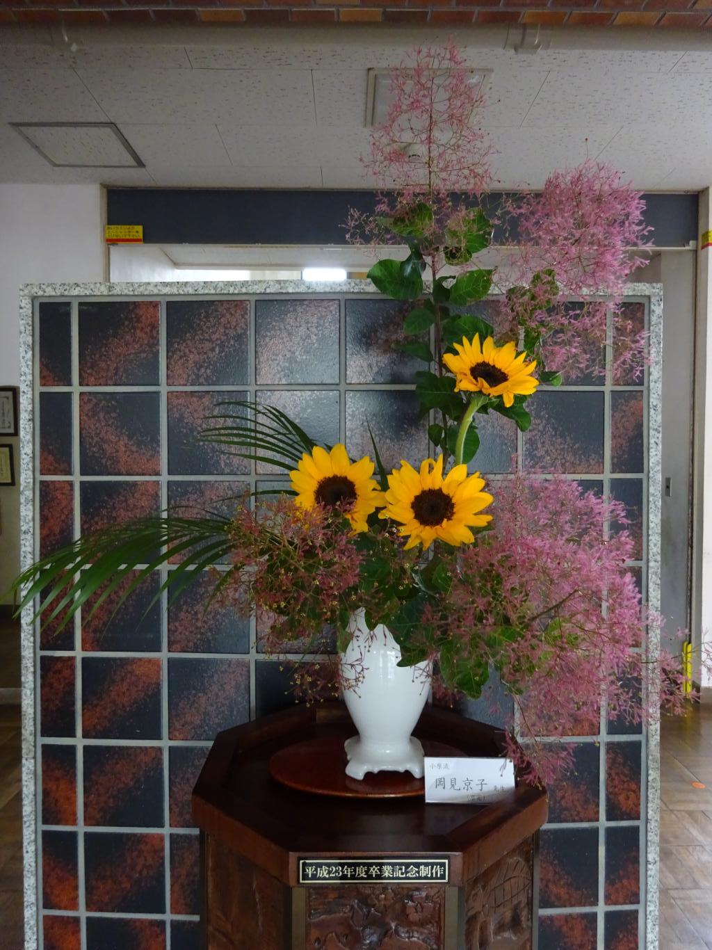 DSC00790 DSC00790