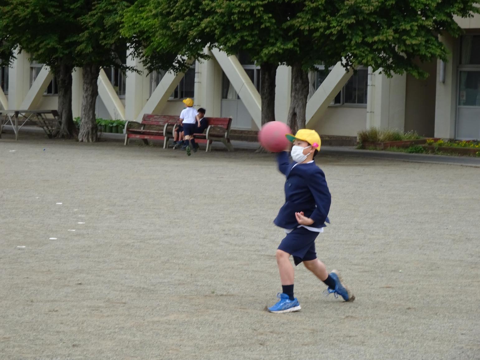DSC00784 DSC00784
