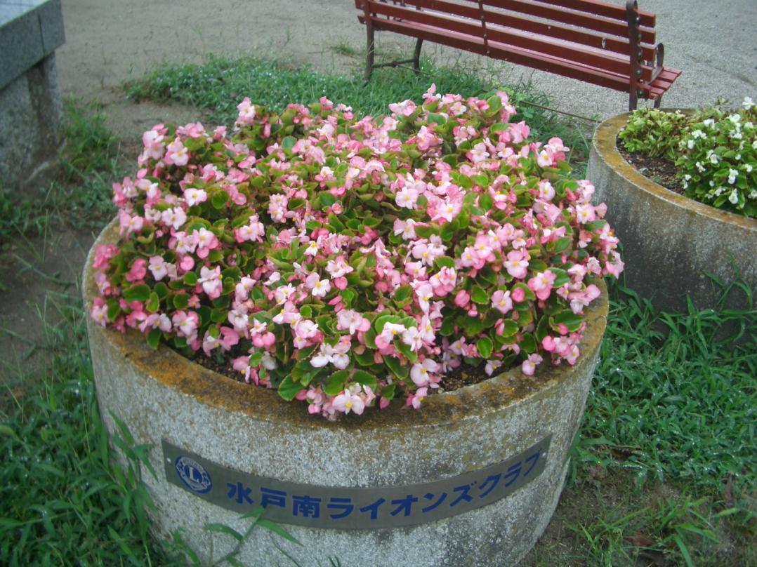 CIMG5590 CIMG5590