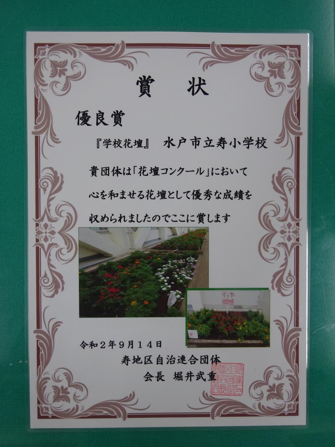 DSC01263 DSC01263