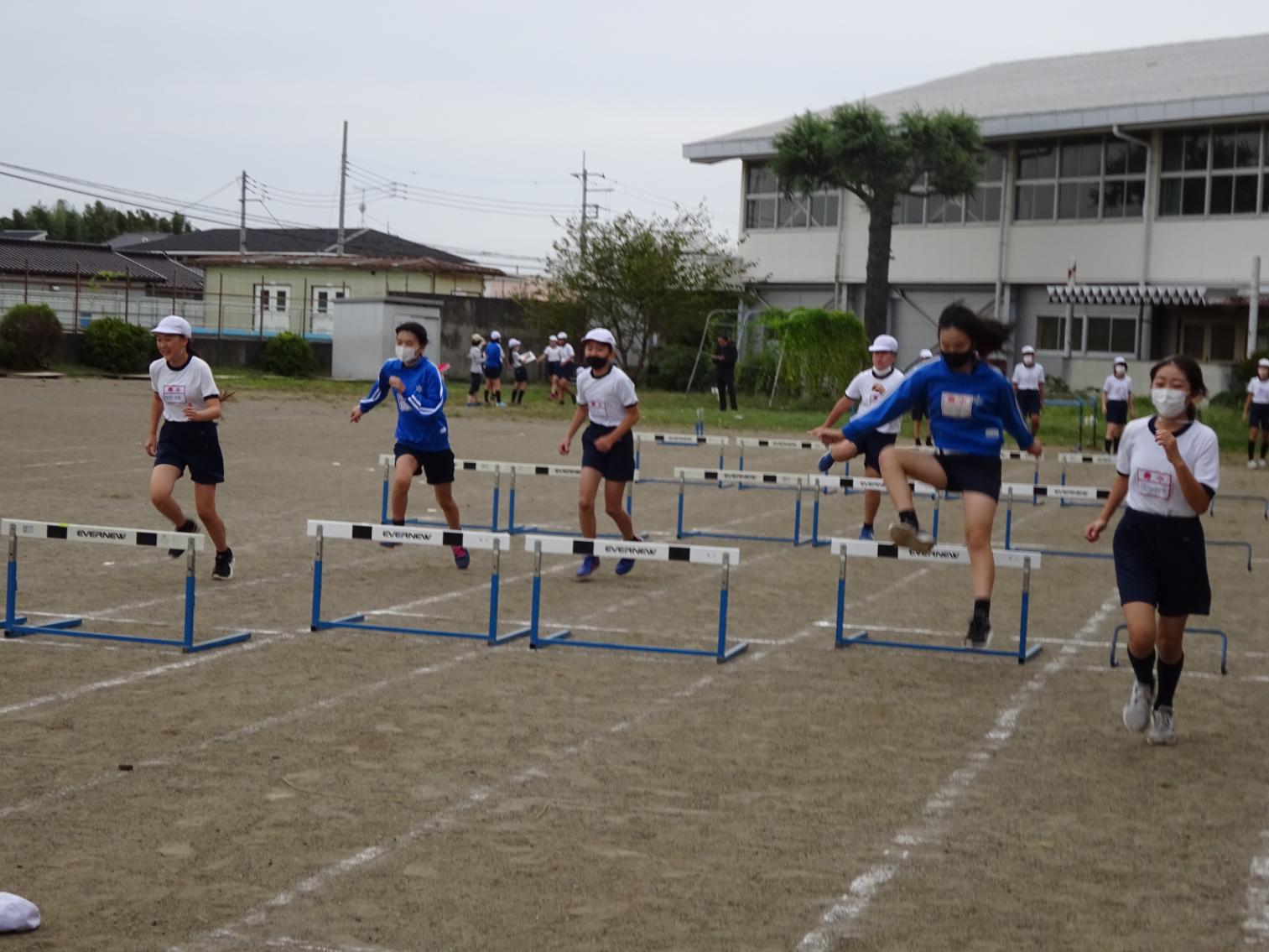 DSC01293 DSC01293