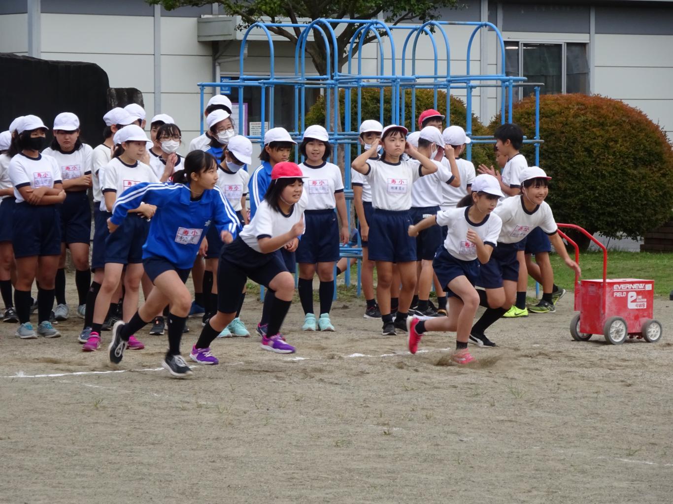 DSC01290 DSC01290