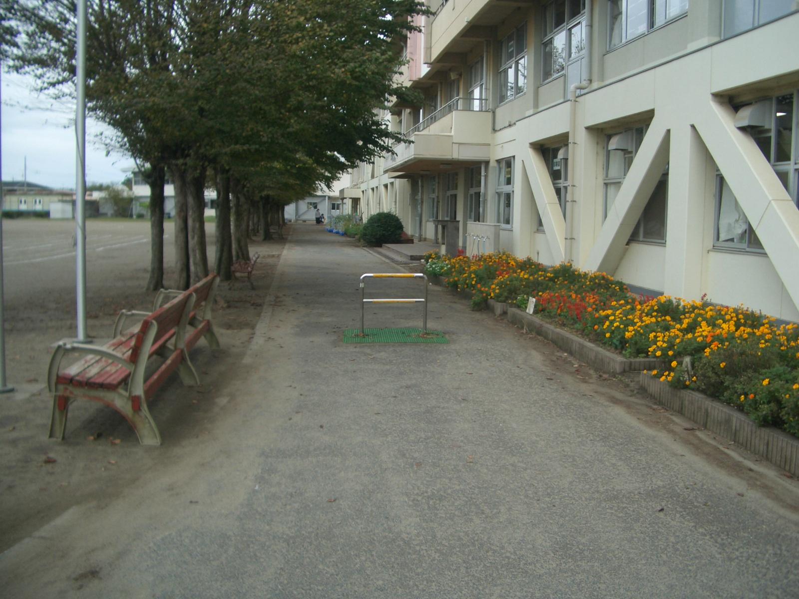 CIMG6054 CIMG6054