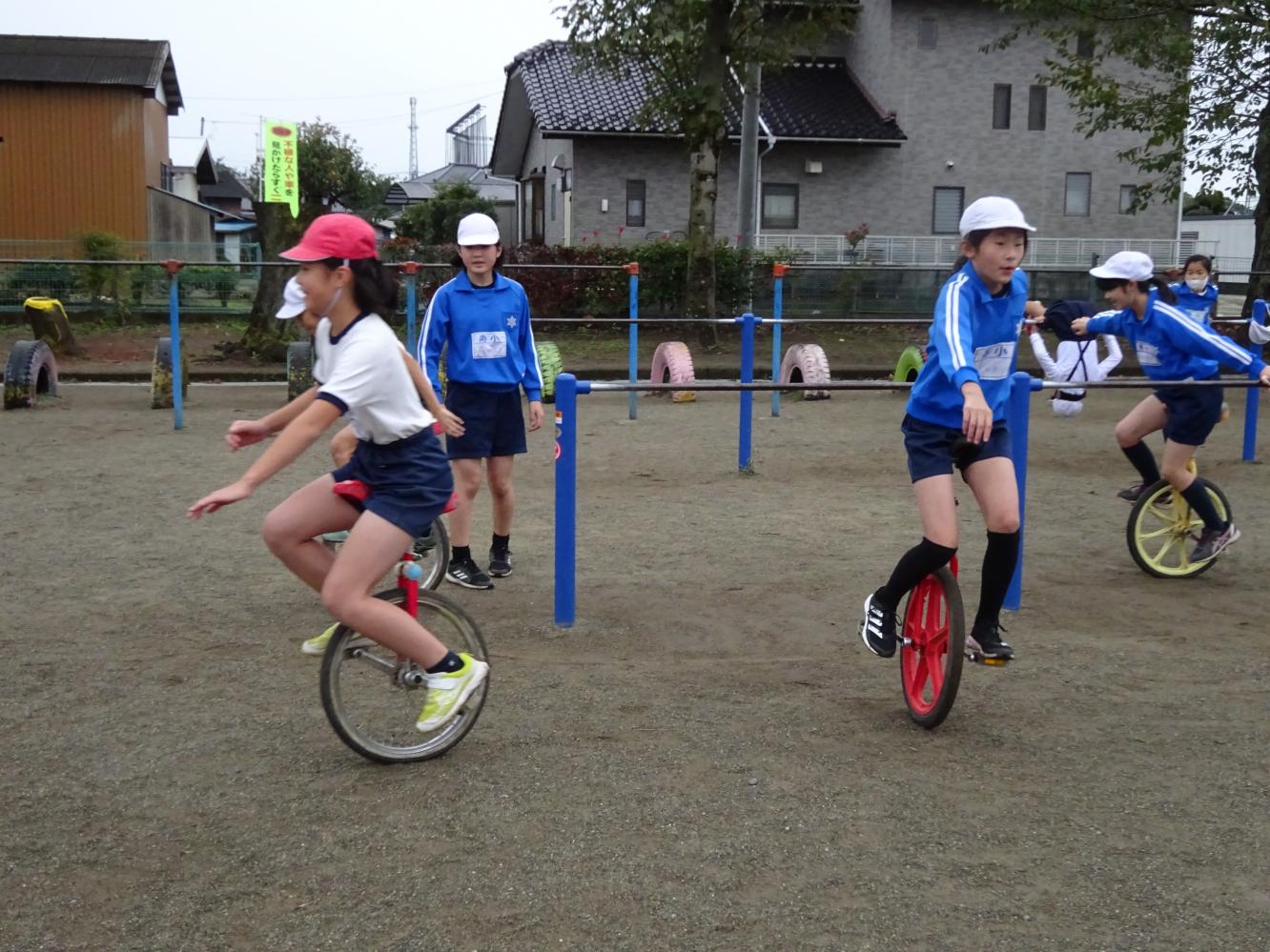 DSC01473 DSC01473