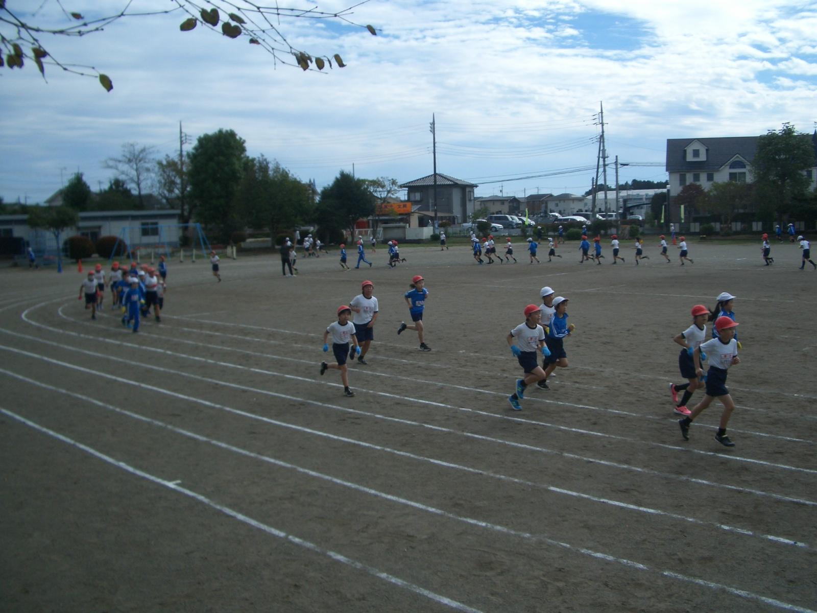CIMG6149 CIMG6149
