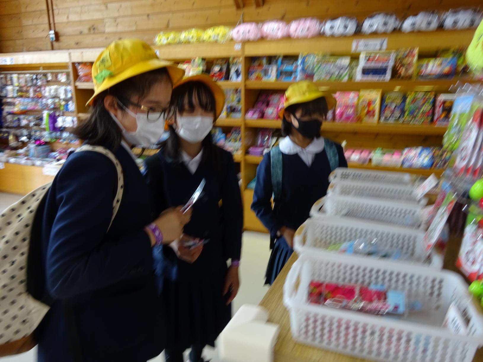 DSC01535 DSC01535
