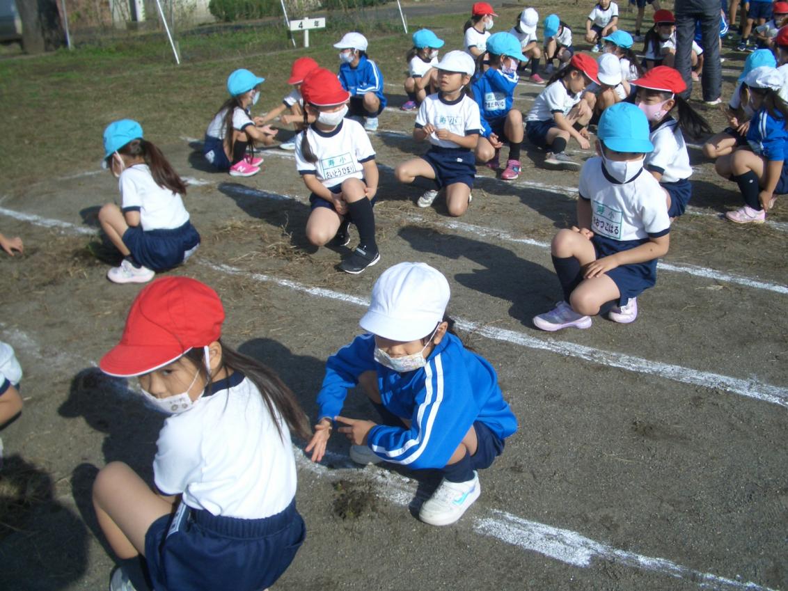 CIMG6317 CIMG6317