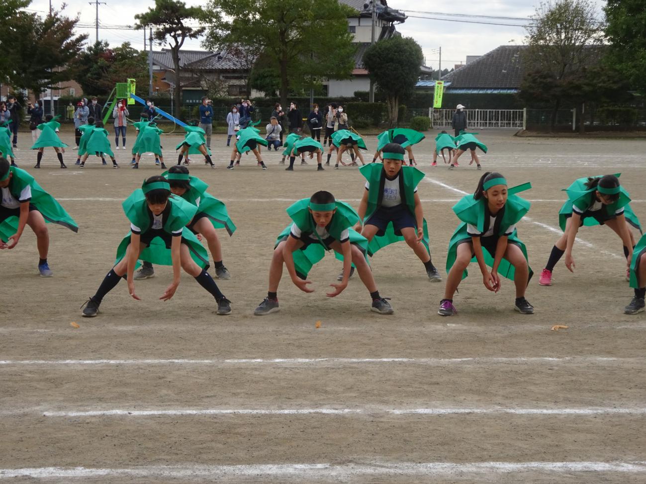 DSC01787 DSC01787