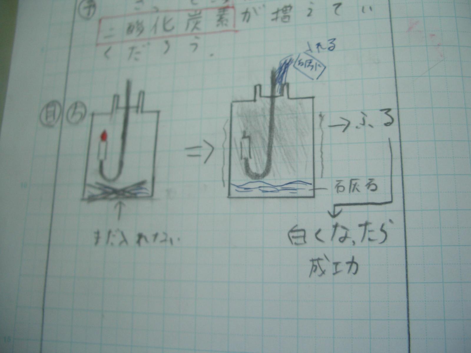 CIMG8729 CIMG8729