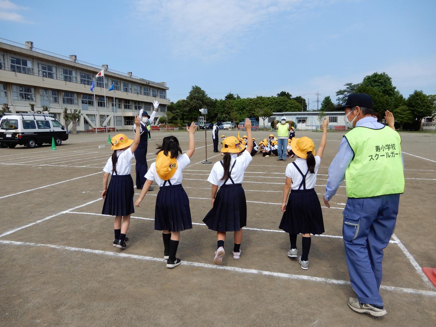 DSCN1175 DSCN1175