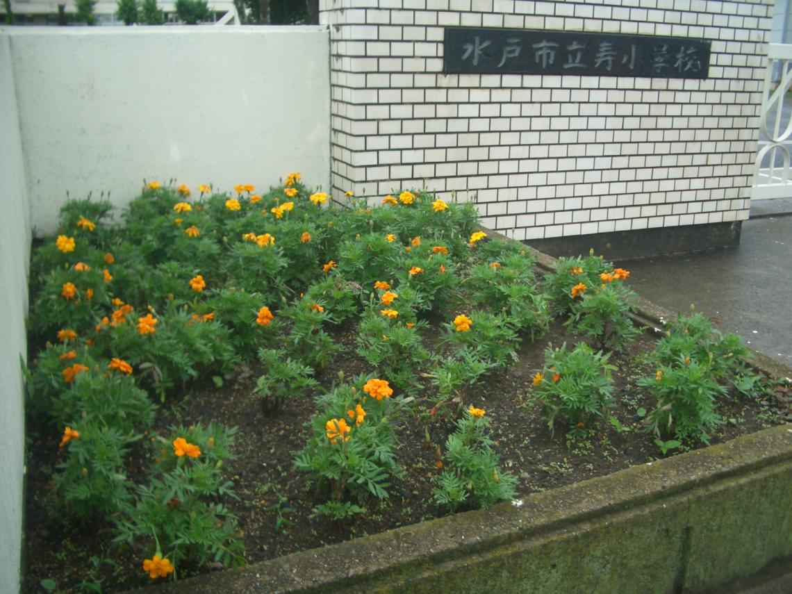 CIMG9154 CIMG9154