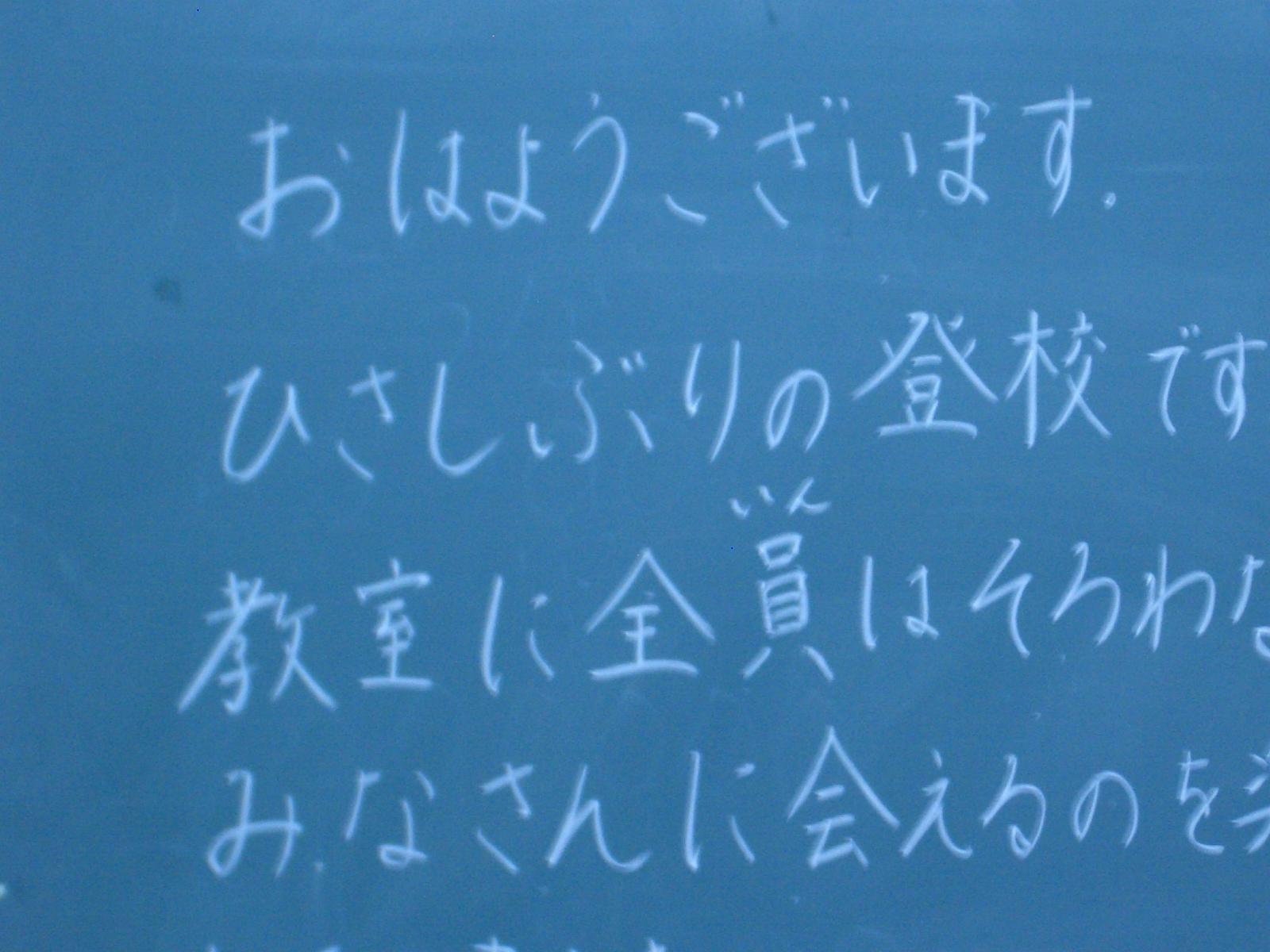 CIMG9517 CIMG9517