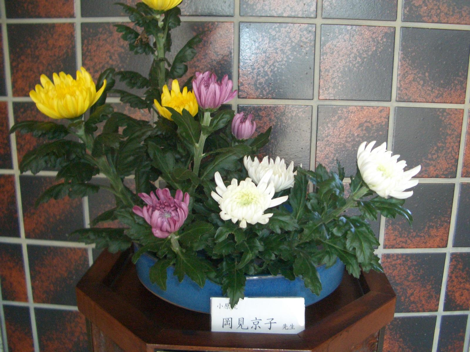 CIMG0153 CIMG0153