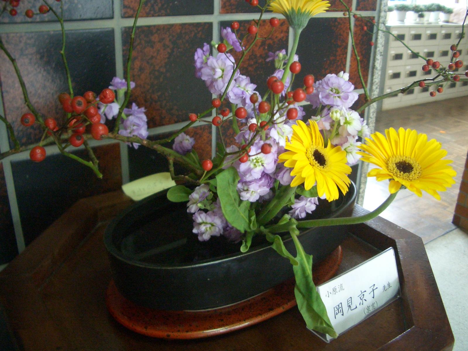 CIMG0261 CIMG0261