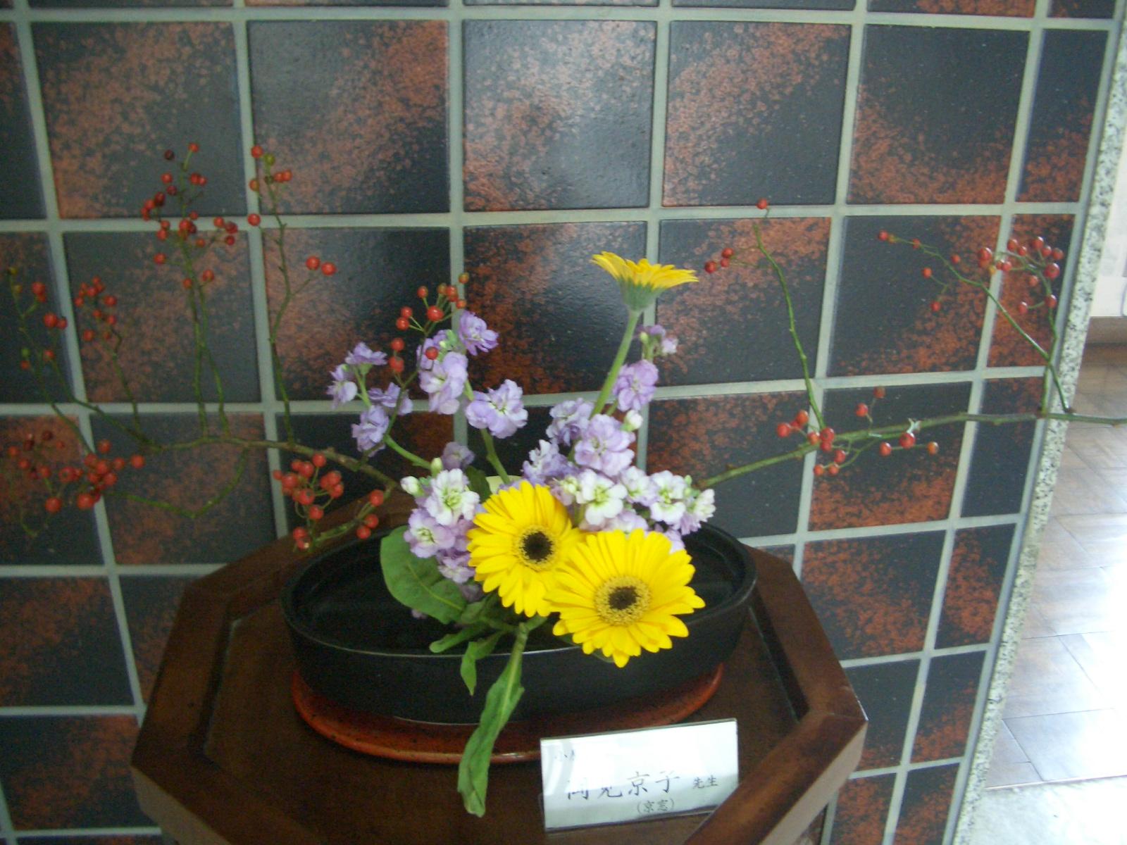 CIMG0263 CIMG0263