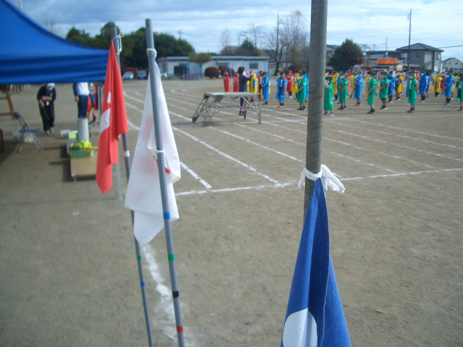 CIMG0375 CIMG0375