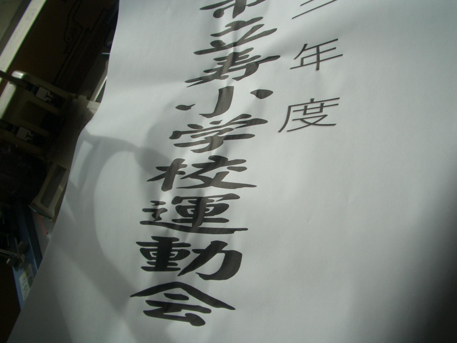 CIMG0389 CIMG0389