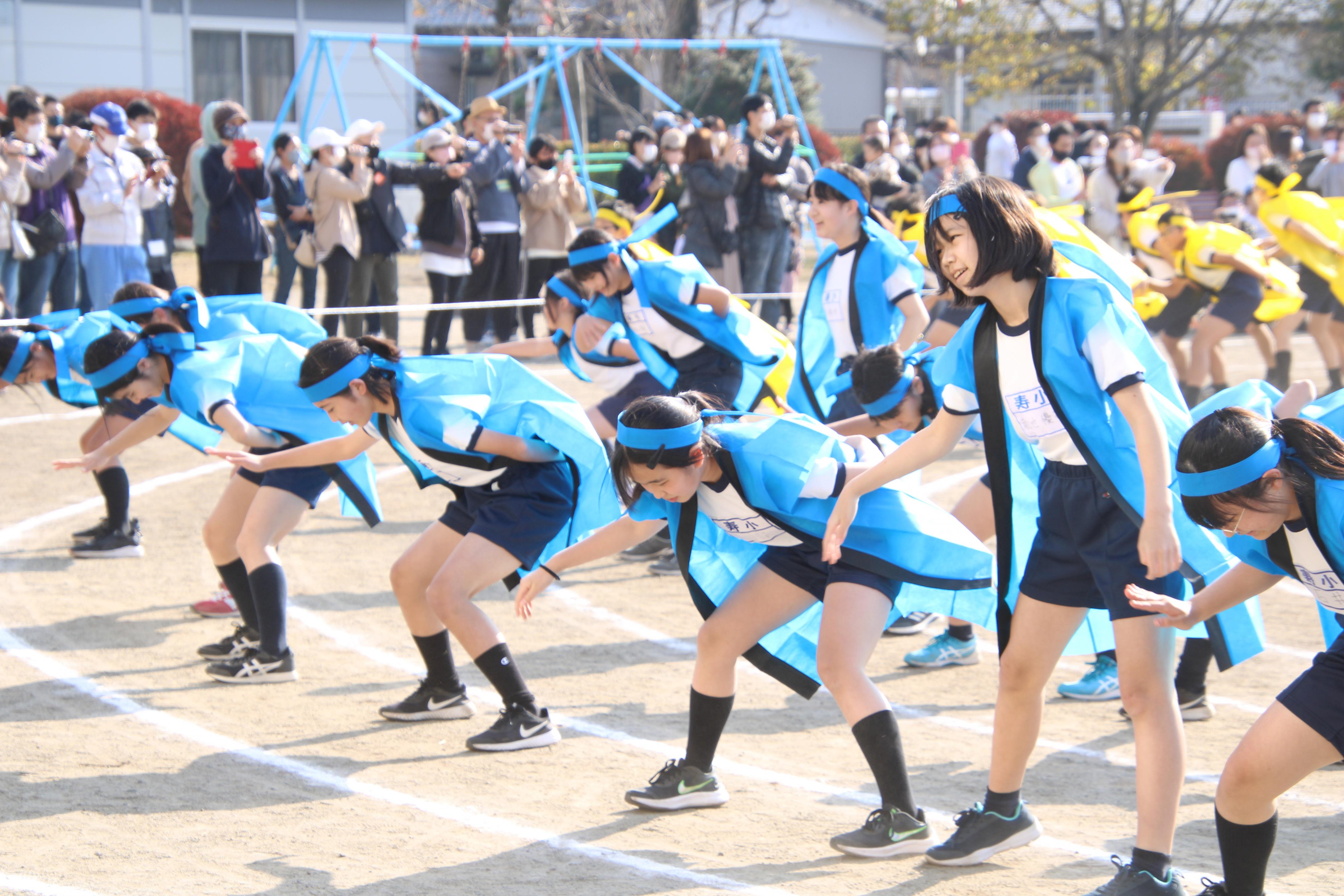 IMG_5937 IMG_5937