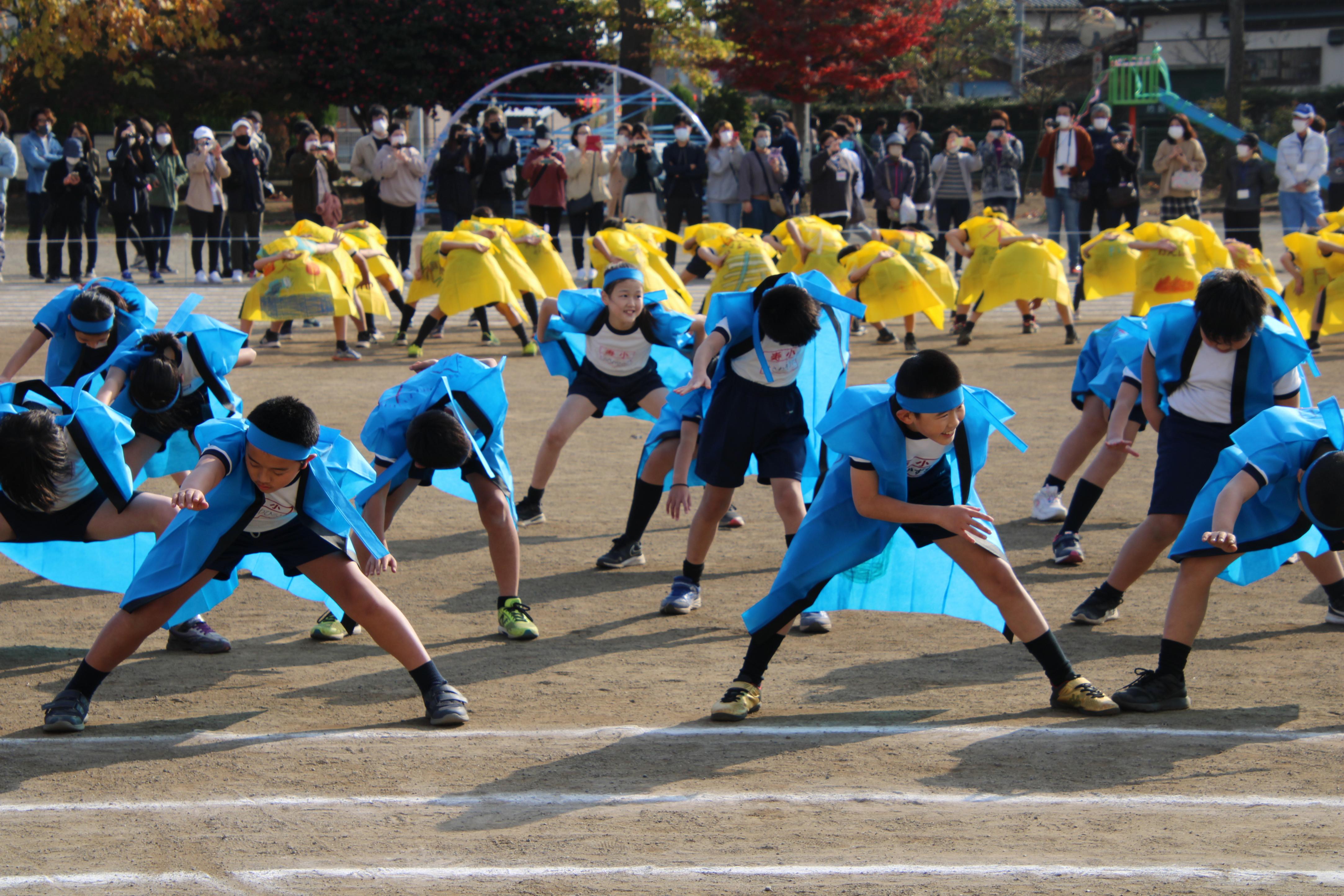 IMG_6016 IMG_6016
