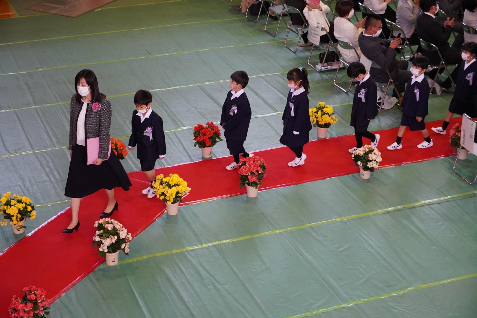 DSC00538 DSC00538
