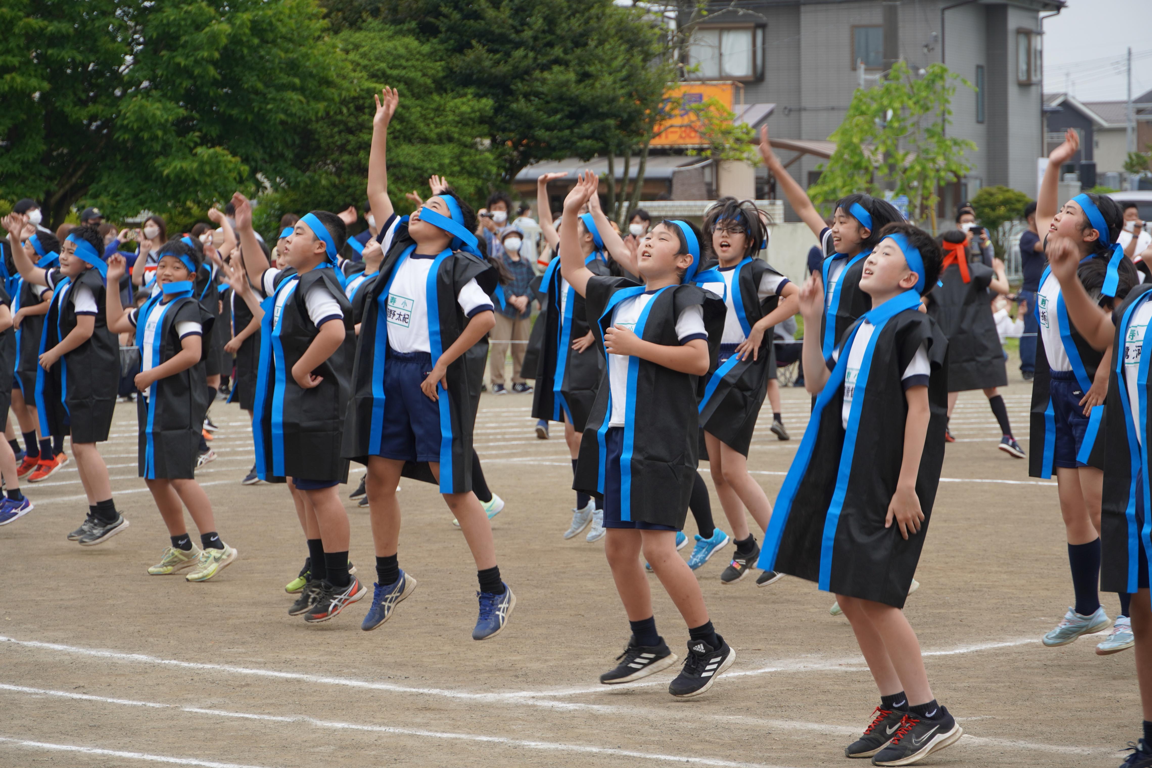 DSC00949 DSC00949