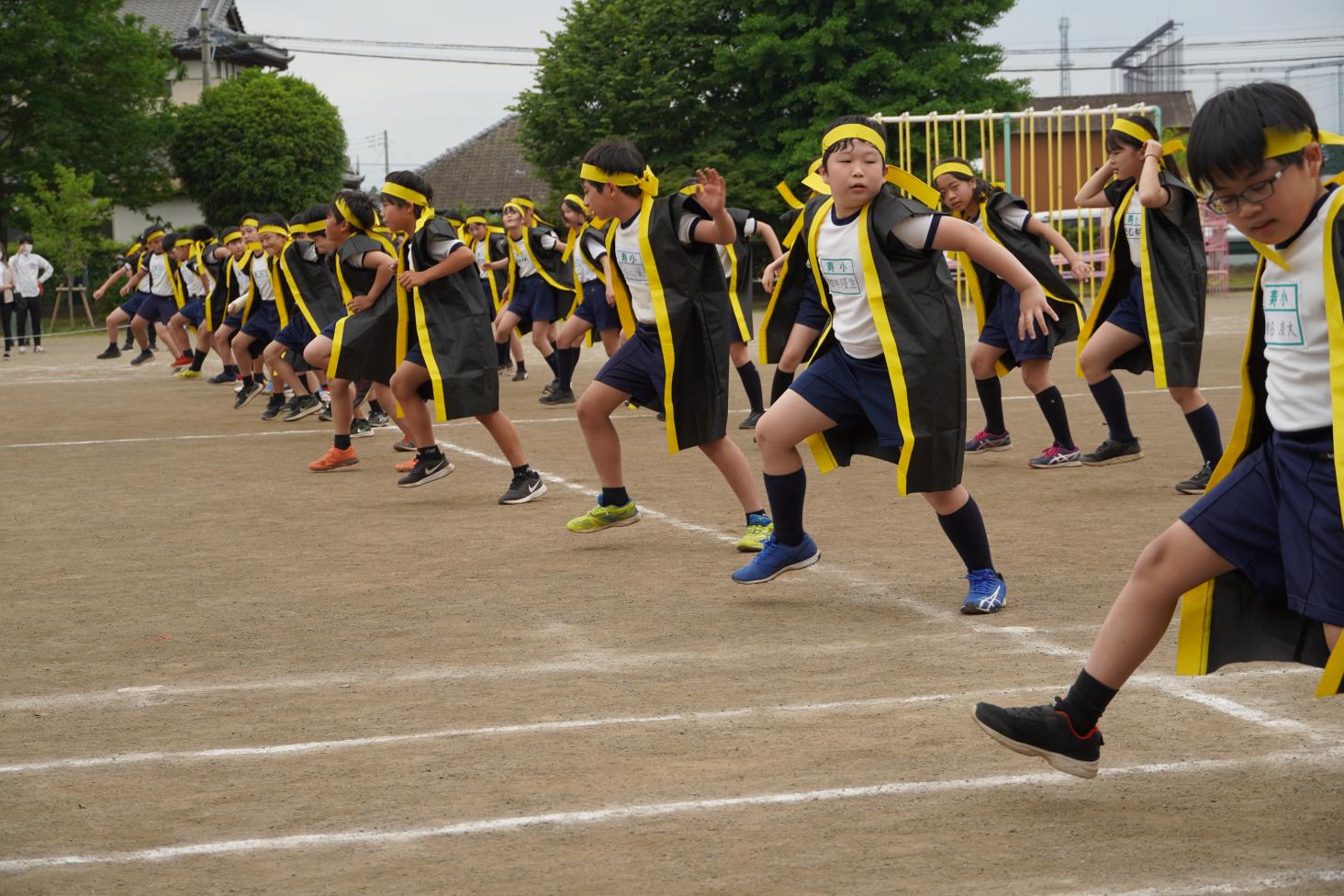 DSC00954 DSC00954