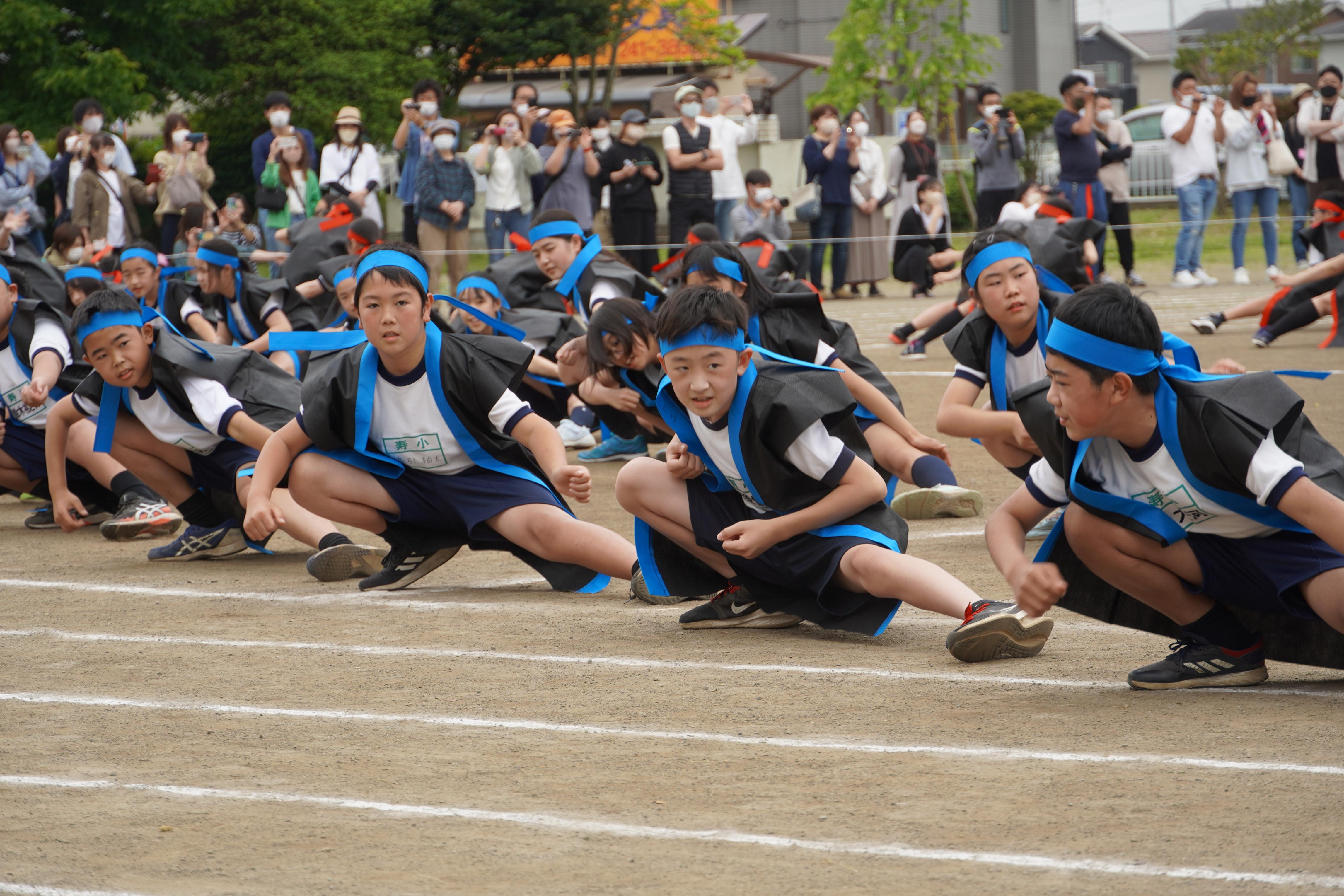 DSC00951 DSC00951