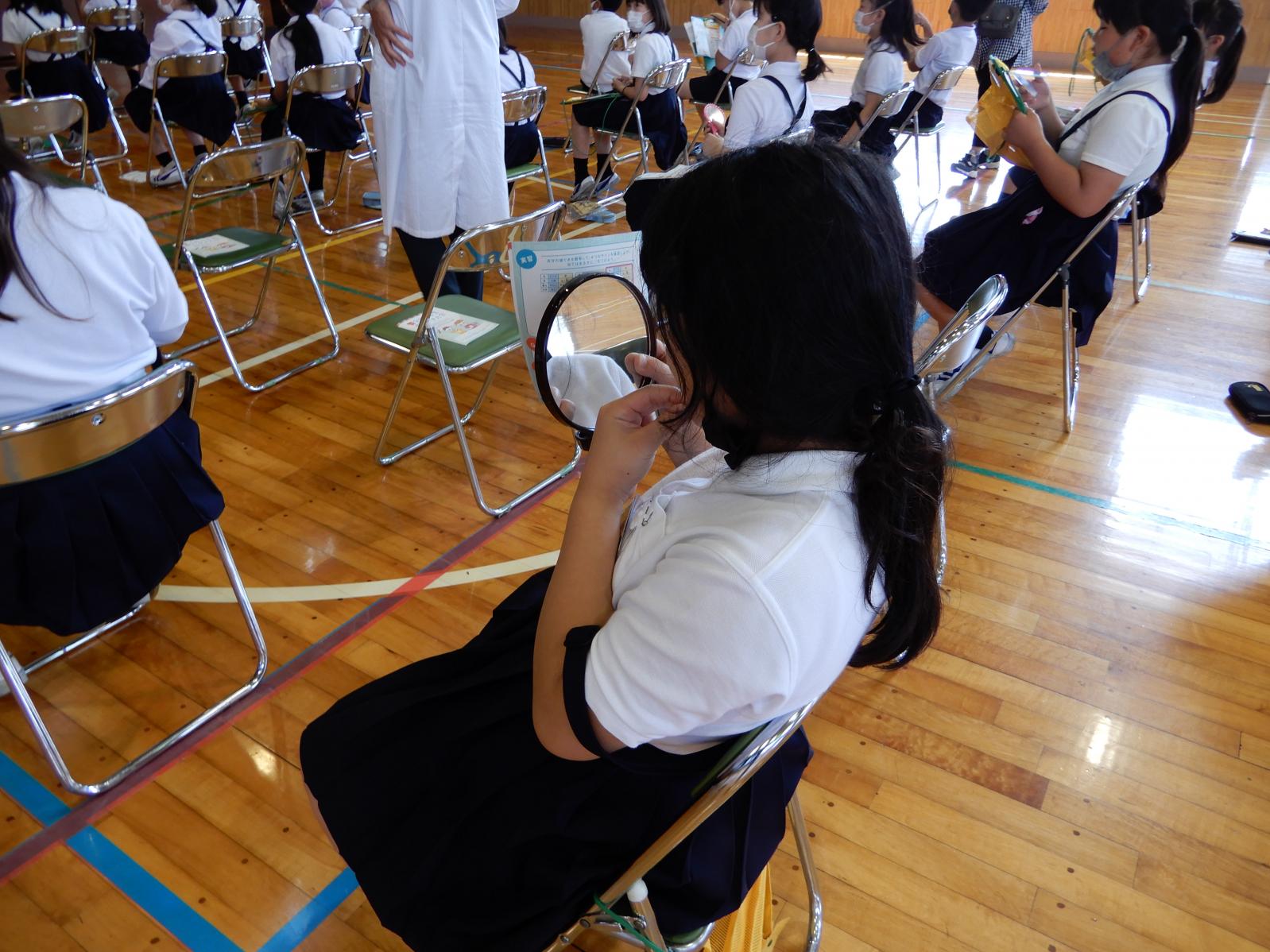 DSCN1672 DSCN1672