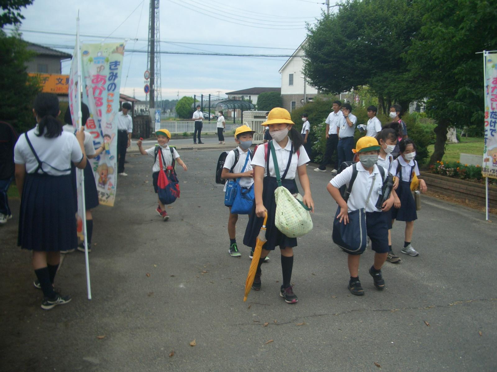 CIMG2371 CIMG2371
