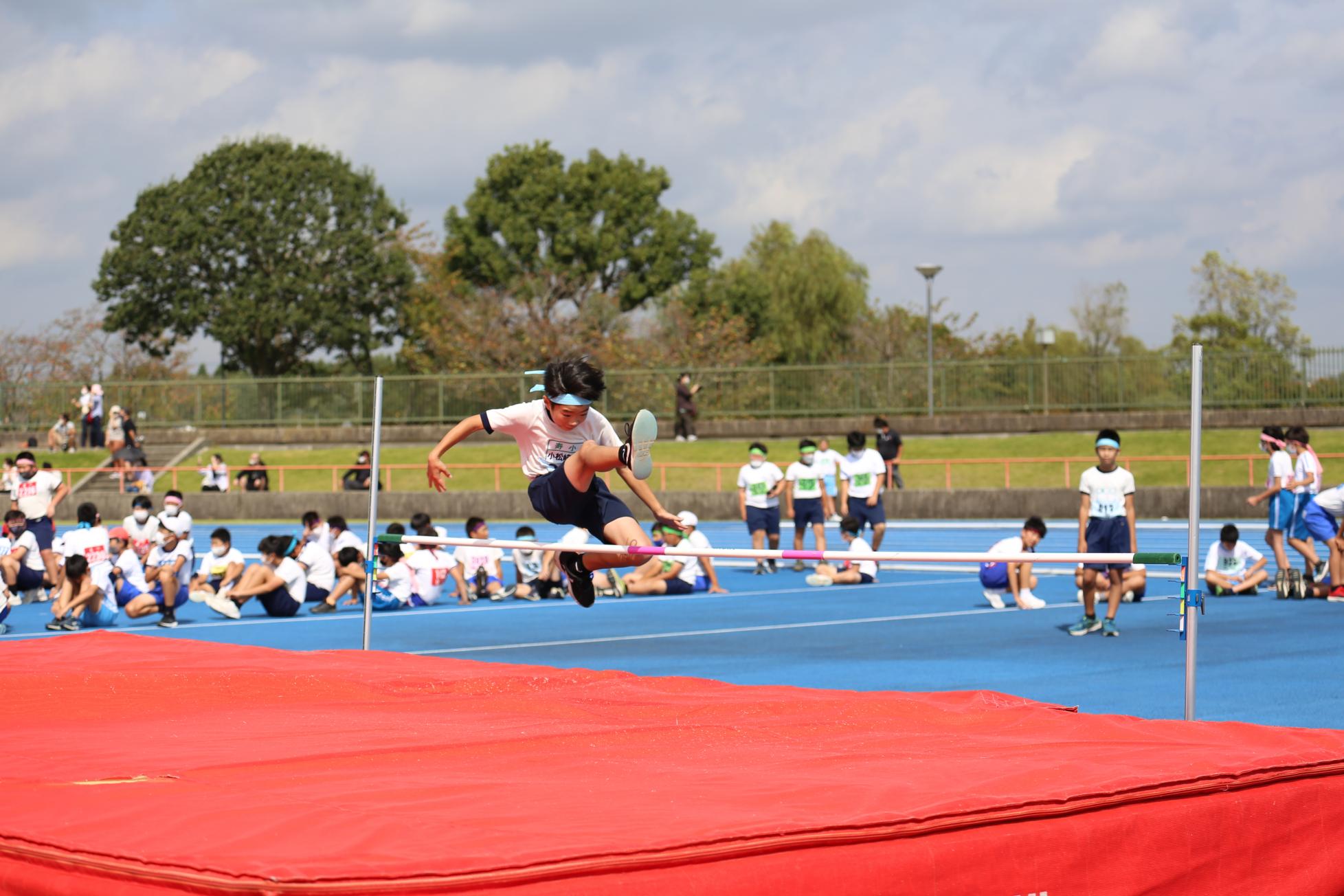 IMG_6474 IMG_6474