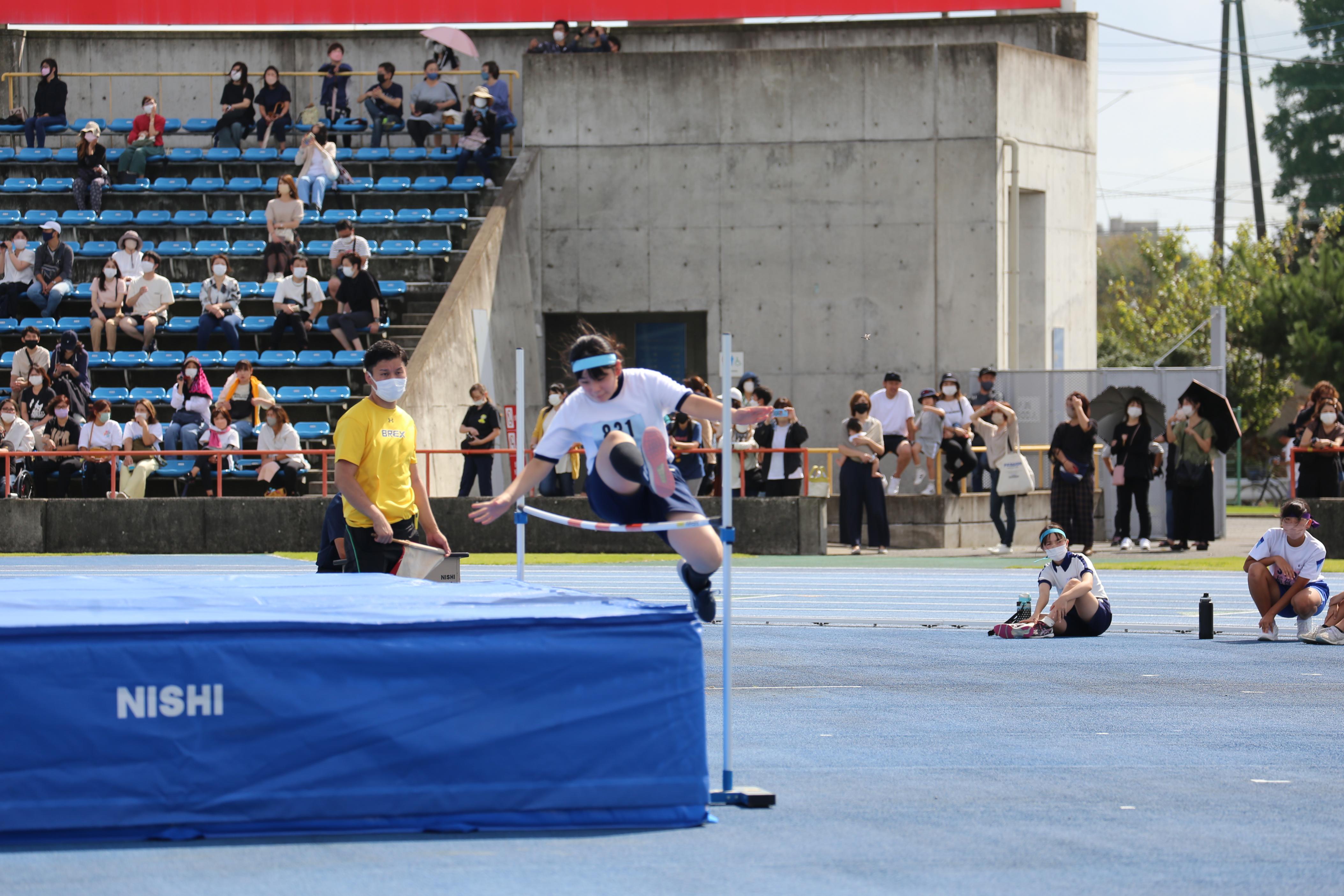 IMG_6495 IMG_6495