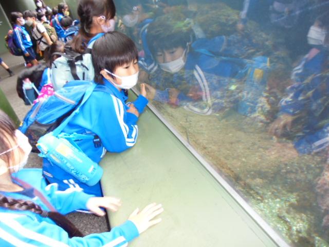DSC00037 DSC00037