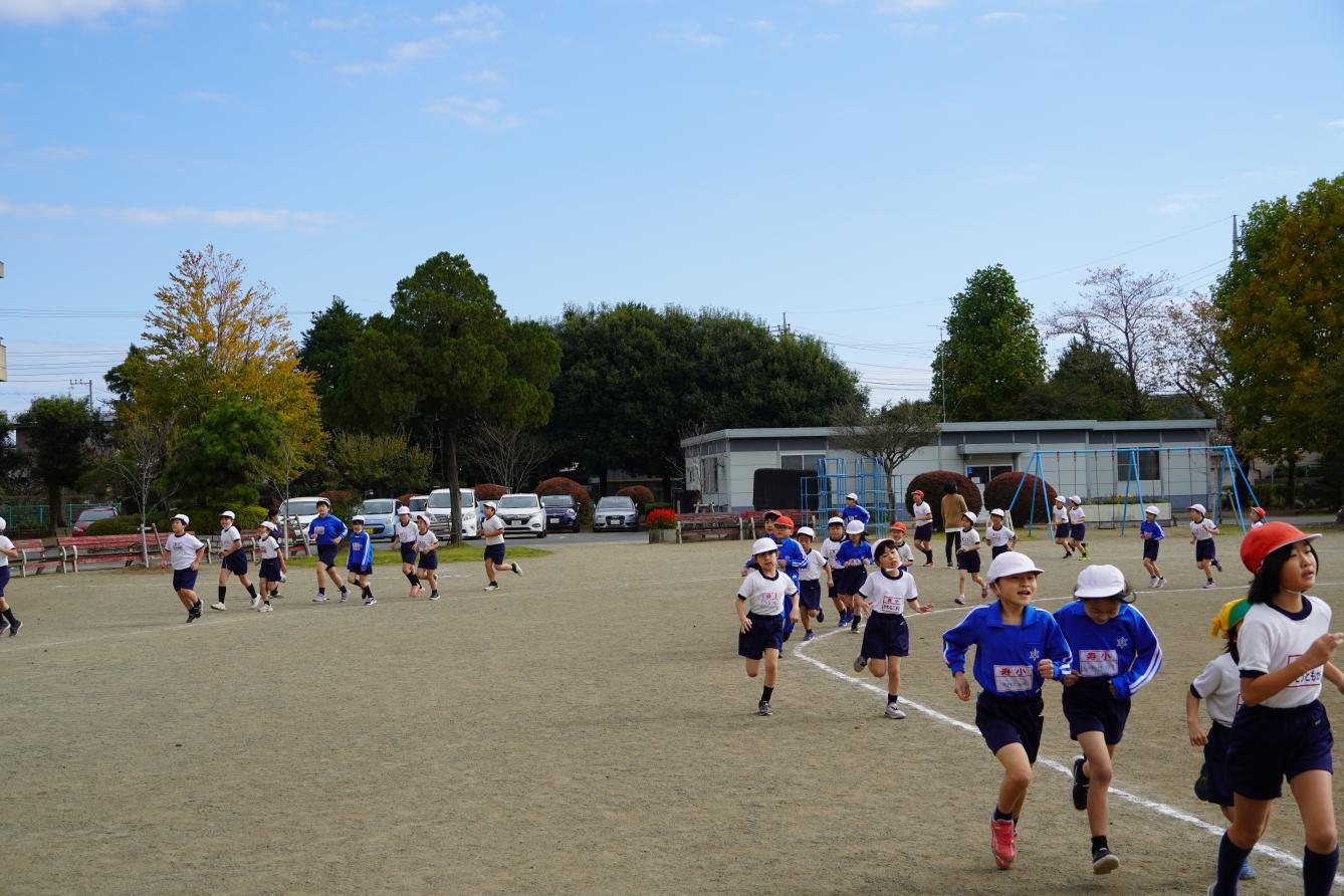 DSC01223 DSC01223