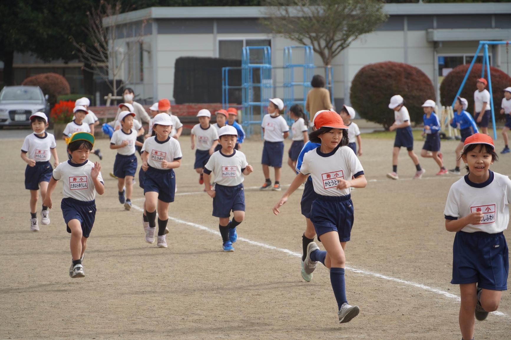 DSC01249 DSC01249