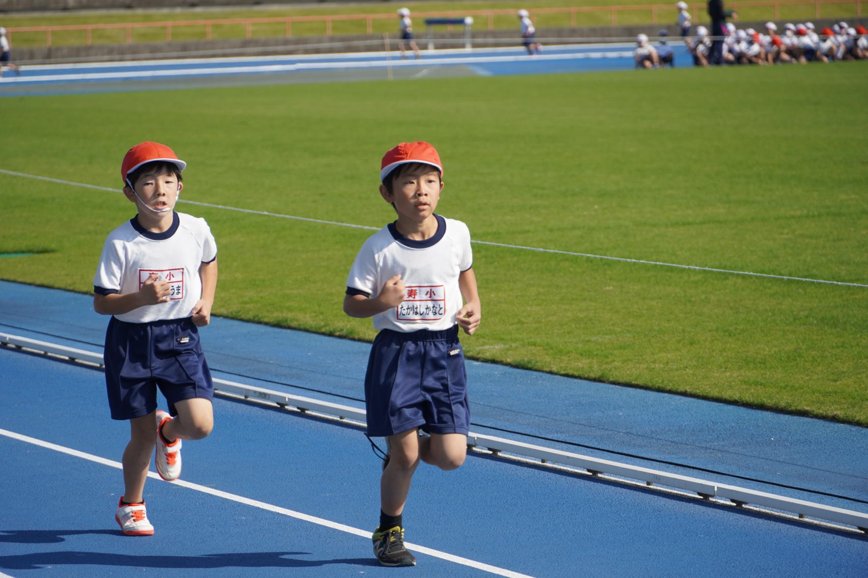 DSC01433 DSC01433