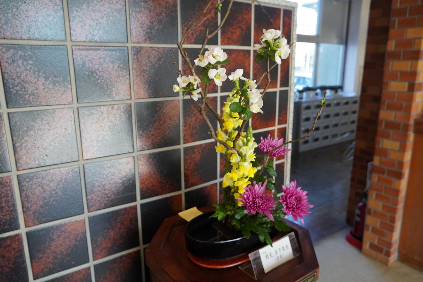 DSC01655 DSC01655