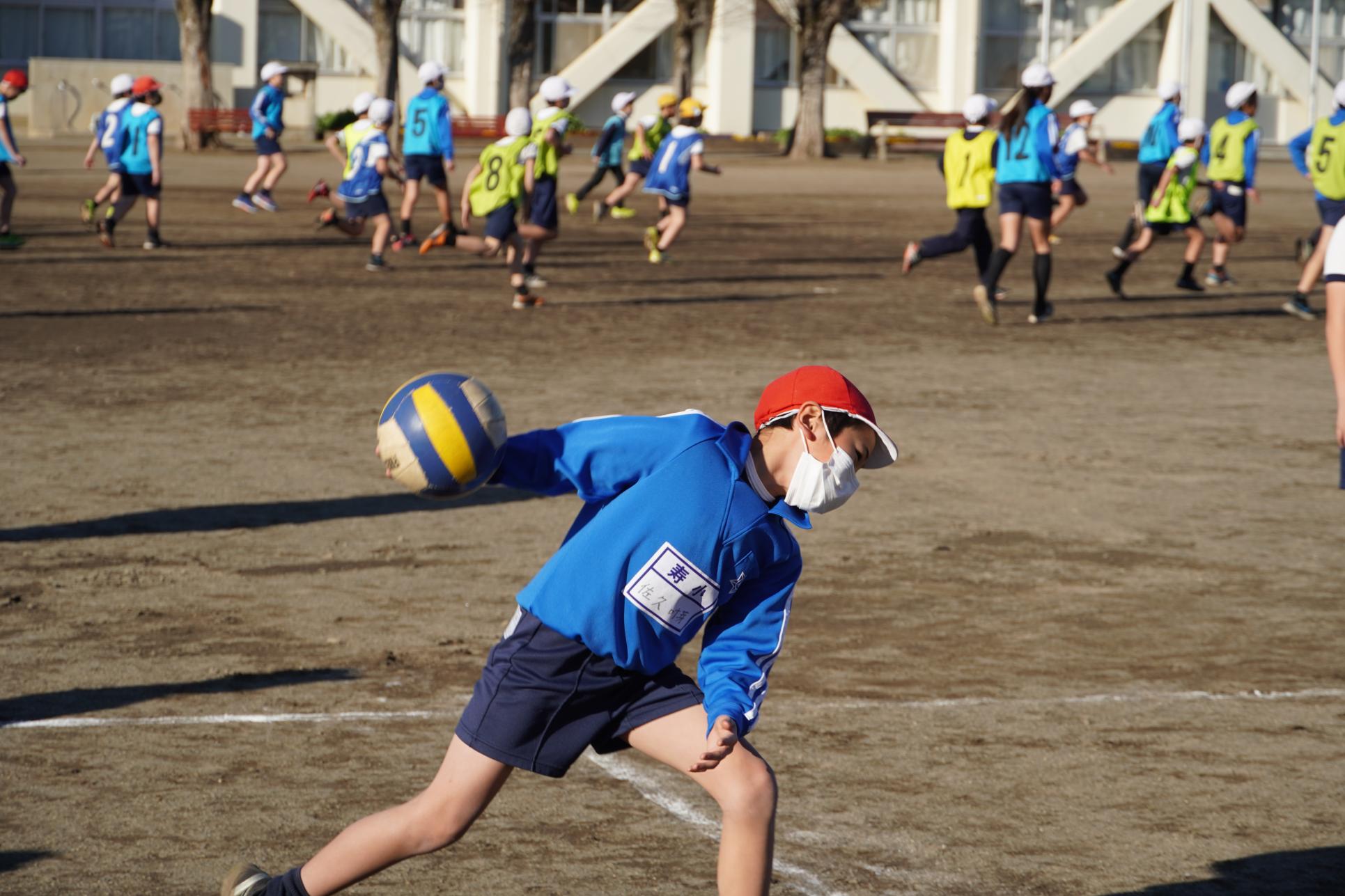 DSC02461 DSC02461